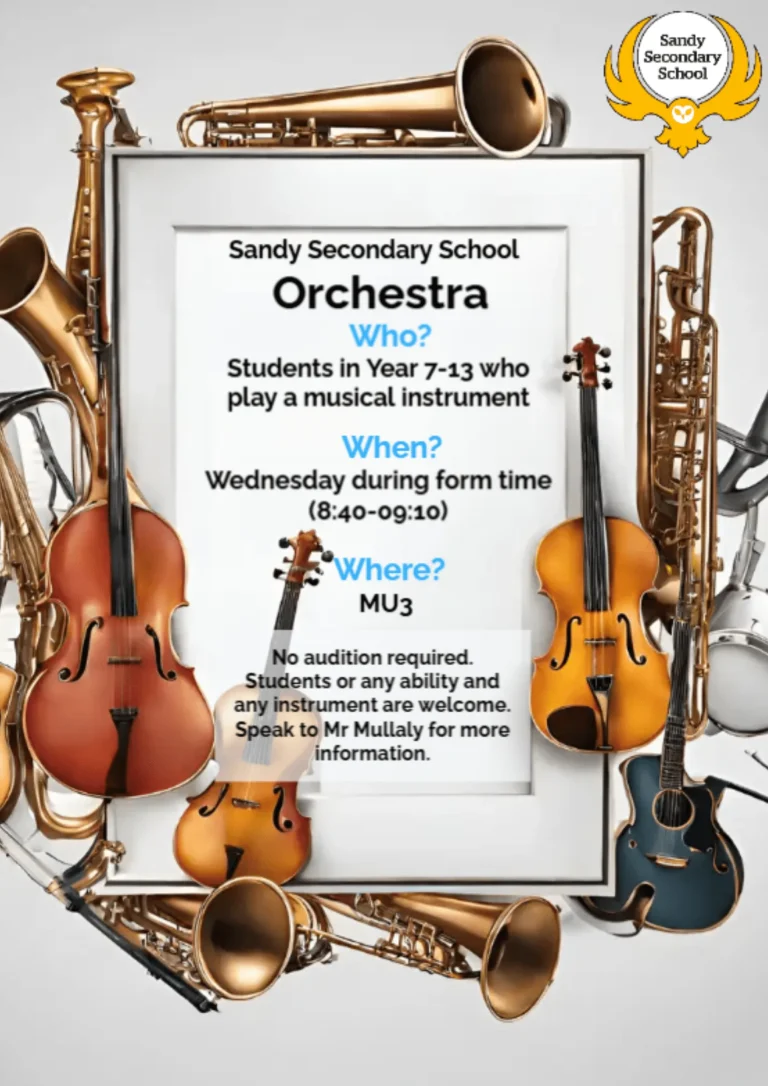 Orchestra